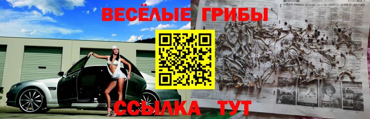 Азнакаево  Псилоцибиновые грибы Psilocybine cubensis  Псилоцибиновые грибы MAGIC MUSHROOMS  Вход с VPN 